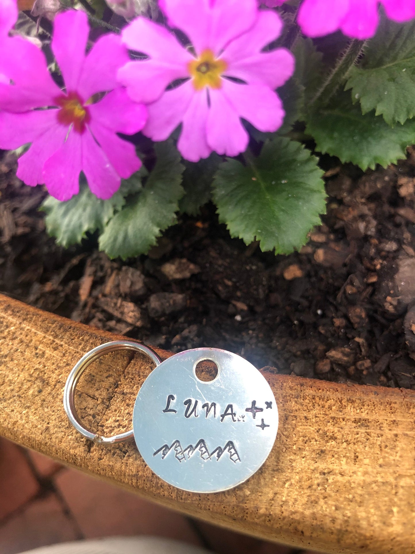 mountains and star pet id tag
